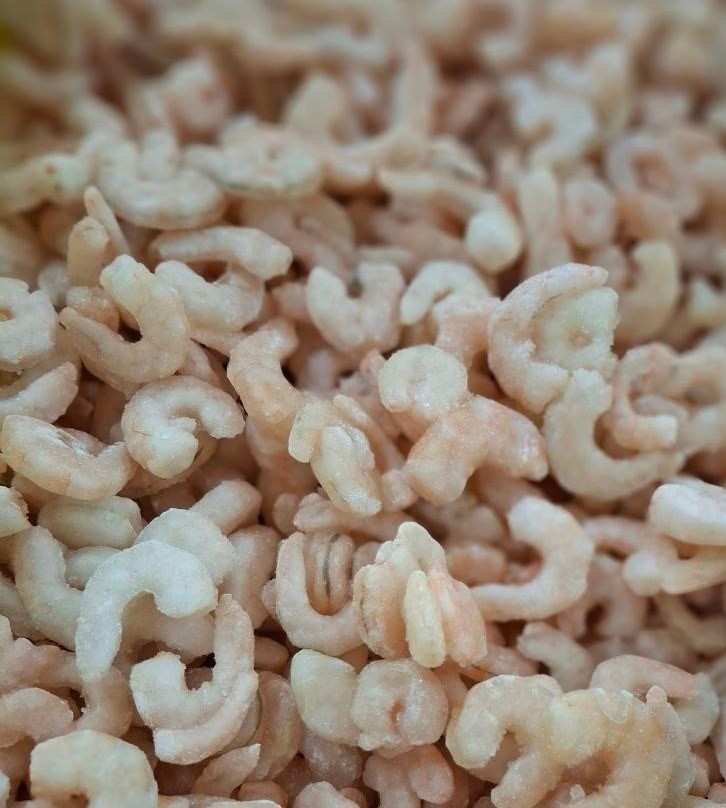 تصویر 2 از میگو پلویی ریز و تازه مناسب طبخ غذاهای سنتی جنوبی